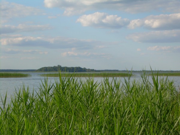 Світязь